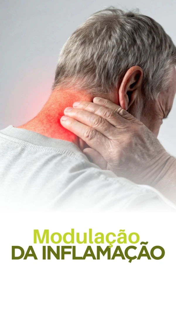 Módulo 6